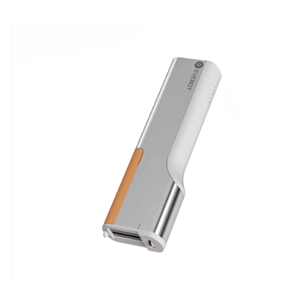 EVEBOT PRINTPEN KALEM EL GIDA YAZICISI